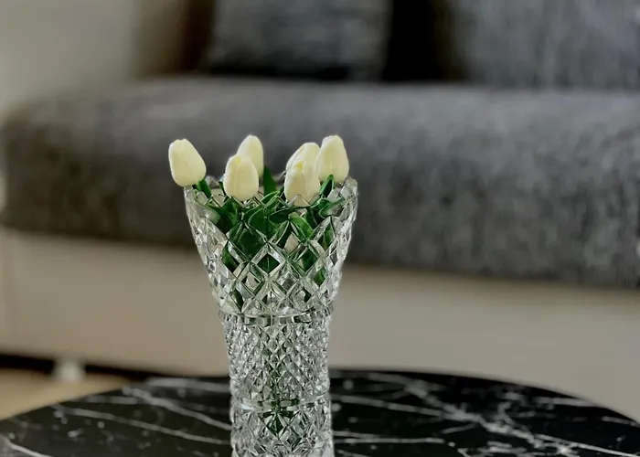Apartament Luxury House